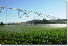 Aplicaciones de Hidrotecnolog&iacute;a