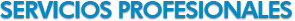 Servicios profesionales